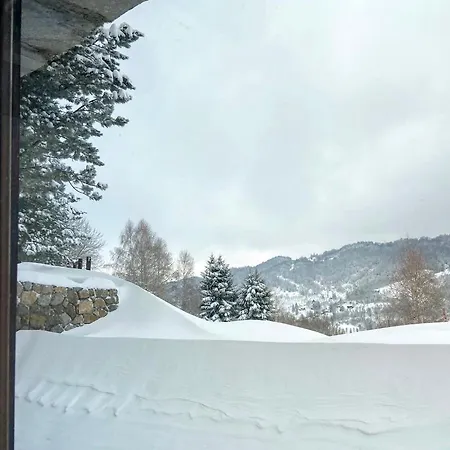 Family 5 Lux Vidik * Kopaonik