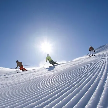 Apartment Family 5 Lux Vidik Kopaonik