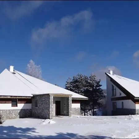 Family 5 Lux Vidik *