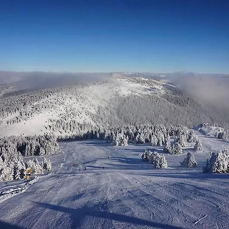 Family 5 Lux Vidik Apartment