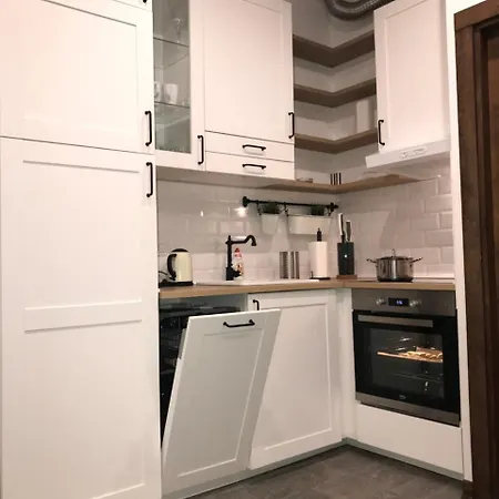 Family 5 Lux Vidik Apartment *