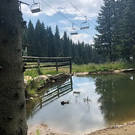 Family 5 Lux Vidik *